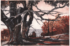LH_Park-Putbus
