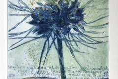 web_Baue-Blumen_Jungfer-im-Gruenen