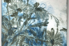 web_Blaue-Blumen_Margeriten