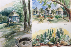 webCollage_Suedafrika2