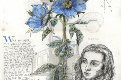 LH_Blaue-Blume